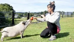 Paula Perez With Pig