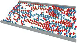 Pedestrian Counterflow Simulation