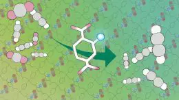 Porous Coordination Polymer Incorporated With Amino Acid