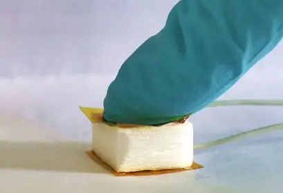 Pressure Generates Voltage Wood Sponge
