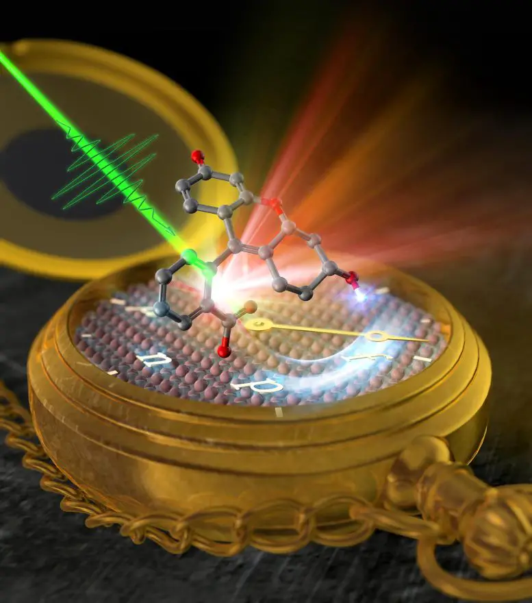 Proton Transfer of Dye Molecules to Titania Surface and Fluorescence Schematic