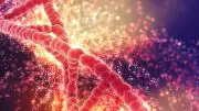 Red DNA Genome Glowing Particles