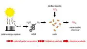 Researchers Use Solar Energy and Renewable Hydrogen to Produce Methane