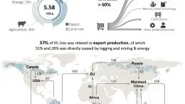 Risk of Intact Forest Landscape Loss Goes Beyond Global Agricultural Supply Chains