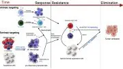 Strategies to Enhance the Activity of CAR T Cells Against Breast Cancer