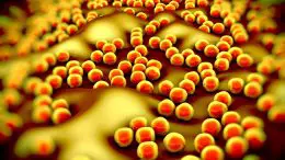 Superbug MRSA Bacteria