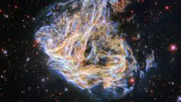 Supernova Remnant DEM L 190