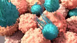 T Cells Fight Cancer Immunotherapy