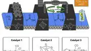 Tandem Catalytic System