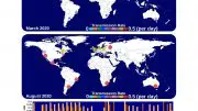 Transmission Rates of the Coronavirus