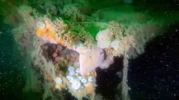 V 1302 John Mahn Shipwreck