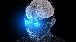Vision Human Brain