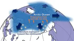 Warming Arctic Increases Snowfall