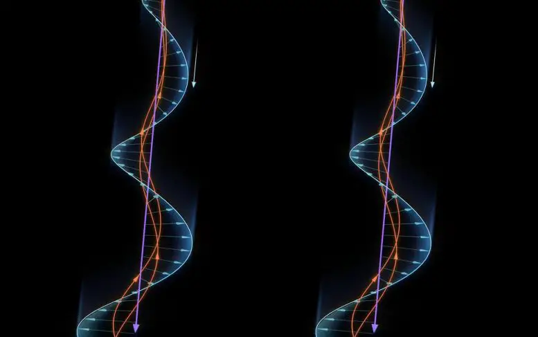 Whistler-Mode Wave Magnetic Field Energy Transfer