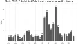 COVID-19 Deaths Timeseries