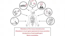 Sources of Particulate Matter and Effects