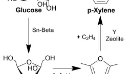 Zeolite Catalyst Creates P-Xylene From Biomass